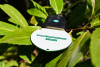 Dragino leaf moisture sensor